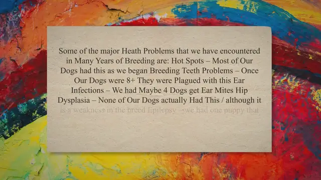 'Video thumbnail for 10 Common Health Problems in Bichon Frise (Bichon Frise Old Age Problems)'