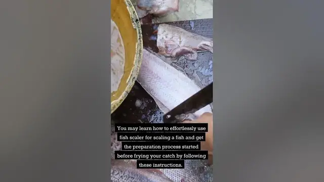 Video thumbnail for How to Use Fish Scaler – Super Guide You Need To Know! (2023)
