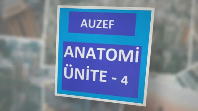 Video thumbnail for Anatomi Ünite -4