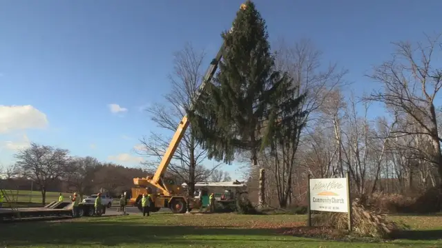 'Video thumbnail for City Christmas Tree Harvested'