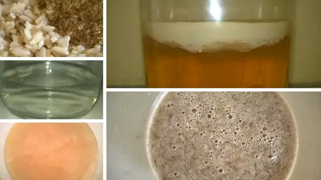 Video thumbnail for How To Make Brown Rice Vinegar in KNF (Simplified)