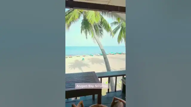 'Video thumbnail for Arugam Bay Beach 🌅 Short trip mini vlog #shorts'