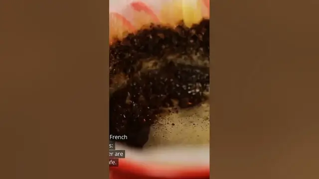 Video thumbnail for Aeropress vs French Press in 2023: Which One is More Impressive?