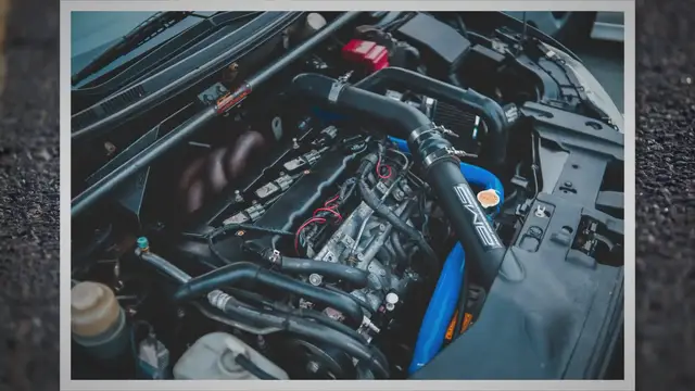 Video thumbnail for Which Cars Have Soy Based Wiring: A Moving Buffet For Rodents?