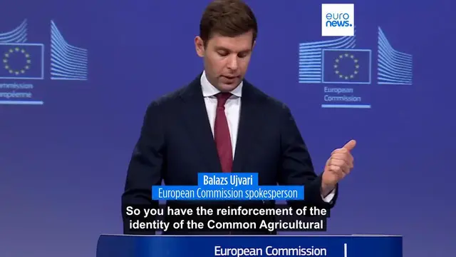 'Video thumbnail for Von der Leyen offers minor concessions on EU budget to placate centrist MEPs'