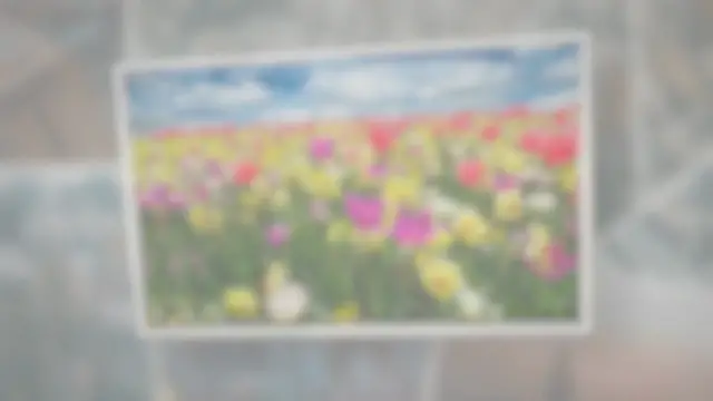 Video thumbnail for IELTS Speaking Part 1 Flowers