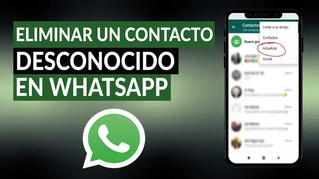 Video thumbnail for Cómo eliminar un contacto desconocido en WHATSAPP para siempre