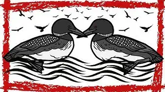 Video thumbnail for 15 Minutes Common Loon Call/Sound [Relaxing]