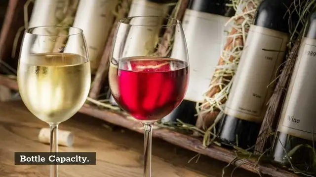 Video thumbnail for EdgeStar Wine Cooler Fridge Reviews: 4 Superb Features!