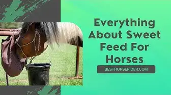 Video thumbnail for Everything About Sweet Feed For Horses