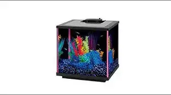 'Video thumbnail for Reviews Aqueon 10 Gal Black Aquarium'