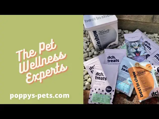 Video thumbnail for Pet Wellness UK_ Calm Your Cat. No Grain Dog & Puppy Treats. Dog Treats for Intolerances