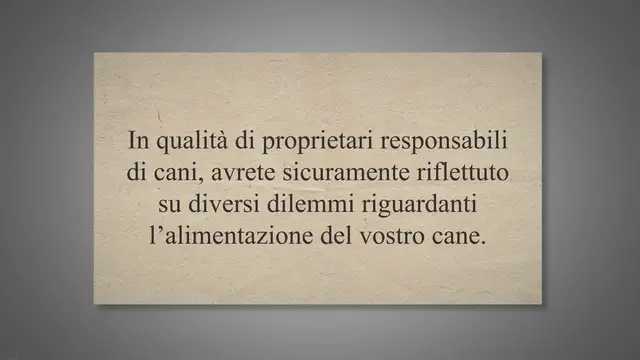 'Video thumbnail for 10 ingredienti da evitare nel cibo per cani - Aidaa.net'
