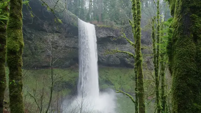 Video thumbnail for Guided Meditation | 5 Minute Breathing Exercise - Calming anxiety reduction