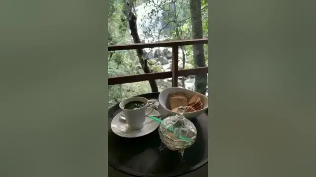 'Video thumbnail for Coffee with a waterfall view | Knuckles Mountain Range |Treehouse Cottage In Sri Lanka #shorts'