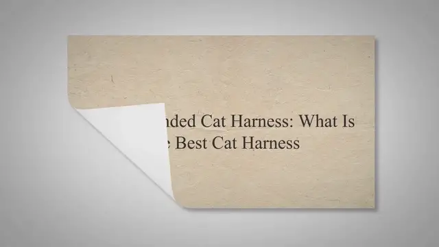 Video thumbnail for Recommended Cat Harness: What Is The Best Cat Harness
