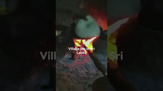 Video thumbnail for Village life in Sri Lanka #shorts