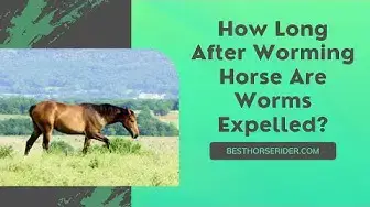 Video thumbnail for How Long After Worming Horse Are Worms Expelled?