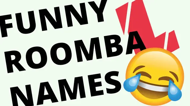 'Video thumbnail for Funny Roomba Names'