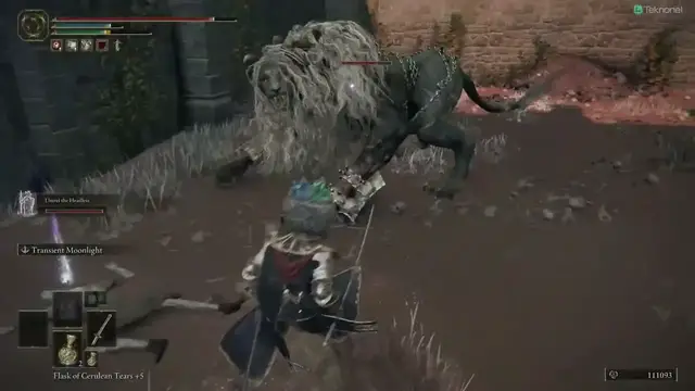 Video thumbnail for Elden Ring Fort Gael Walkthrough and Boss Fight - Caelid