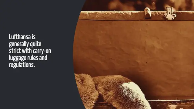 Video thumbnail for How Strict Is Lufthansa With Carry On Luggage