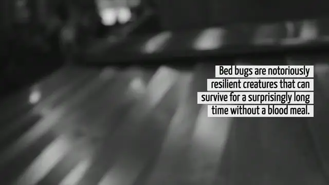 Video thumbnail for How Long Can Bed Bugs Live In Luggage