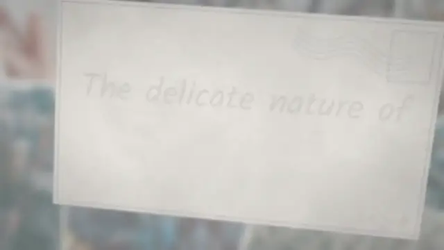 'Video thumbnail for How To Preserve Mushrooms For Display And Decoration'