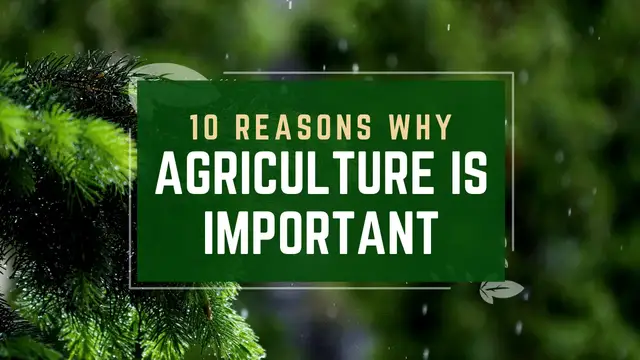 Video thumbnail for 10 Reasons Why Agriculture Is Important