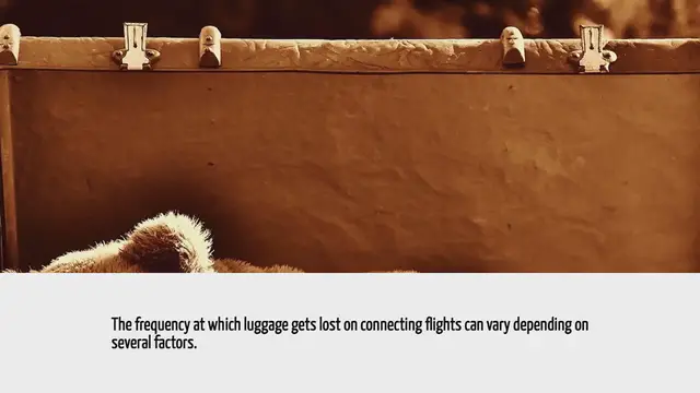 Video thumbnail for How Often Does Luggage Get Lost On Connecting Flights