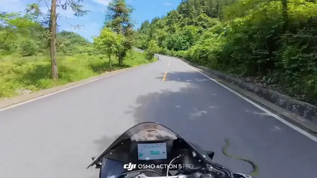 Video thumbnail for Motorcyclist’s Close Call with Snake on Quiet Country Road