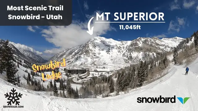 Video thumbnail for Most Scenic Run at Snowbird with 12" of POWDER | 4K | Utah