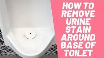 Video thumbnail for How To Remove Urine Stain Around Base of Toilet In 3 Easy Methods