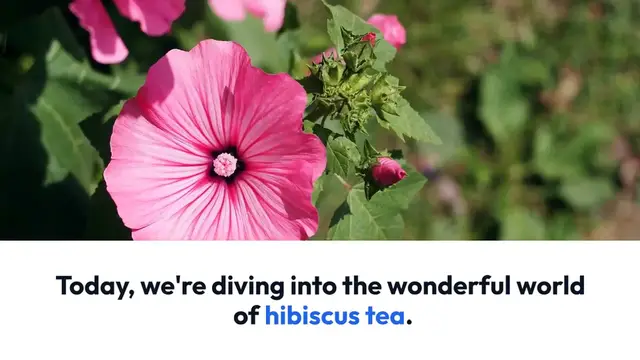 Video thumbnail for 15 Benefits of Hibiscus Tea