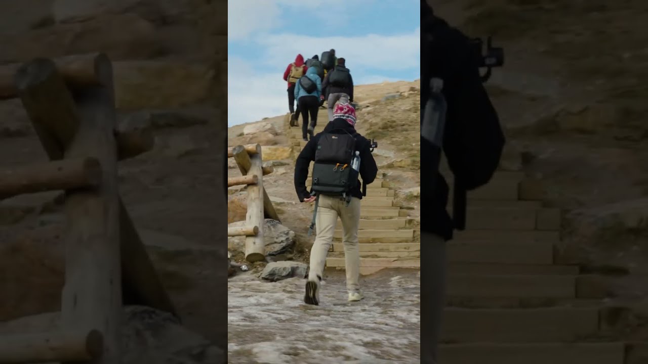 Video thumbnail for Come to Joshua Tree With Me This November