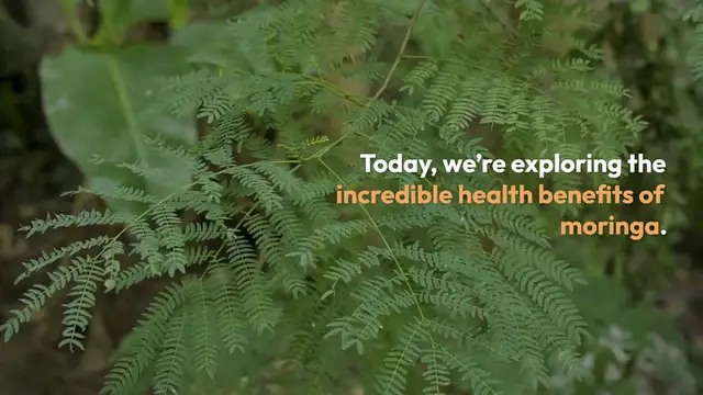 Video thumbnail for Moringa's 16 Health Benefits