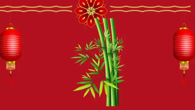 Video thumbnail for Planta bambú de la suerte, cuidados 🎋 video