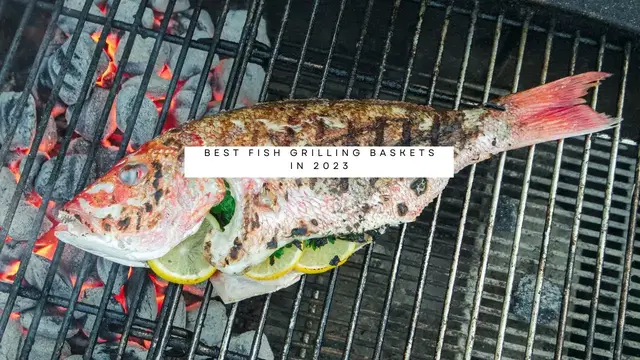 Video thumbnail for Best Fish Grilling Baskets in 2023