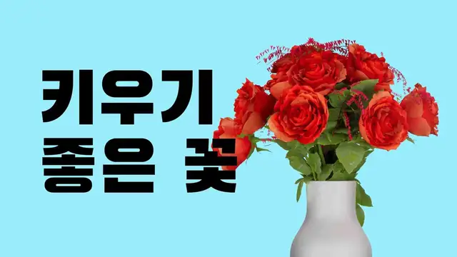 'Video thumbnail for 키우기 좋은 꽃 15가지를 추천합니다'