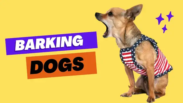 'Video thumbnail for Why Do Dogs Bark? | Dogs Barking | Dogs Planet #dogs #barkingdog'