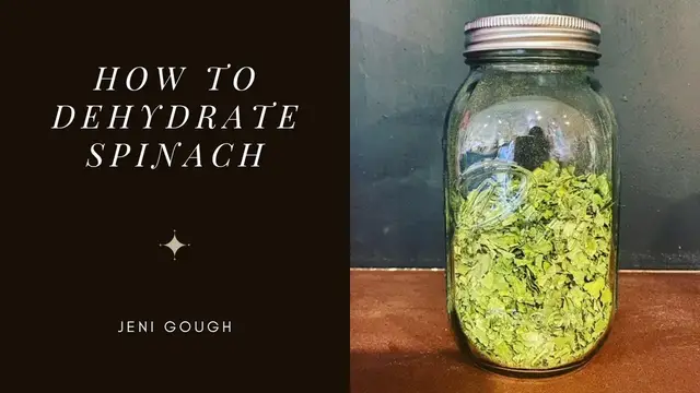 Video thumbnail for How To Dehydrate Spinach // Jeni Gough