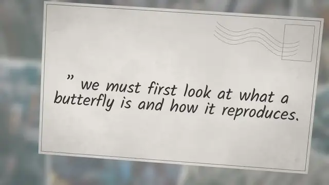 Video thumbnail for Do Butterflies Lay Eggs?