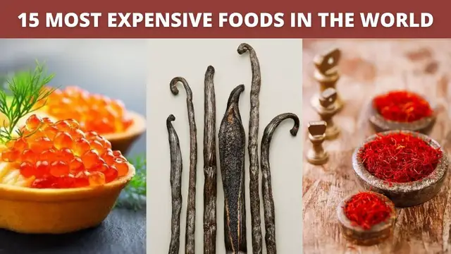 Video thumbnail for 15 Most Expensive Foods in the World | Caviar, fugu, vanilla pods, moose cheese and more