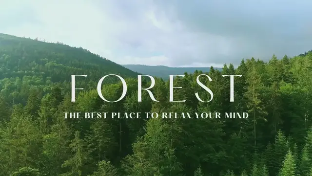 'Video thumbnail for forest is best place to relax your mind'