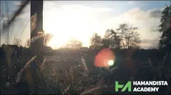 Video thumbnail for I Make Promises Before I Dream by Tongo Eisen-Martin || Hamandista Academy