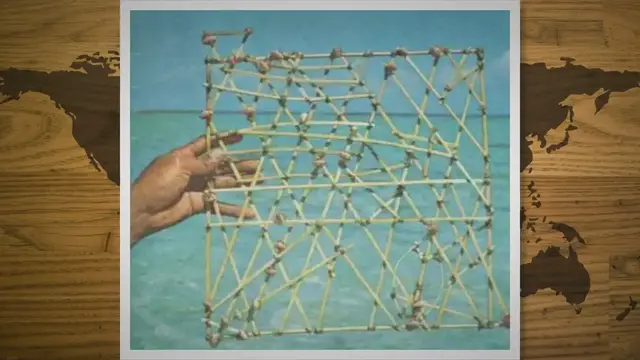 Video thumbnail for Polynesian Instruments - What are Stick Charts?