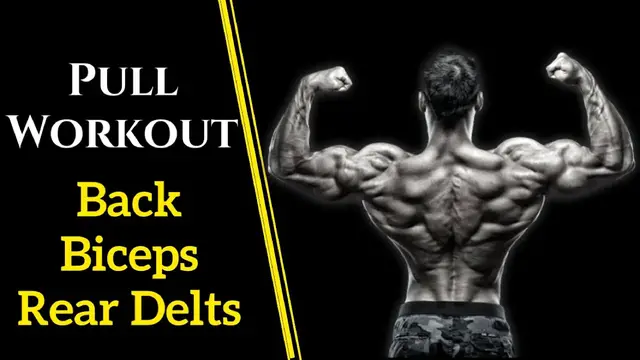 Video thumbnail for The Best Anatomy Based PULL Workout For Growth (Back/Biceps/Rear Delts)