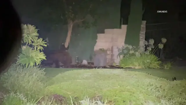 Video thumbnail for US, Los Angeles: Claremont Mama Bear and Two Baby Cubs Looking For Food.