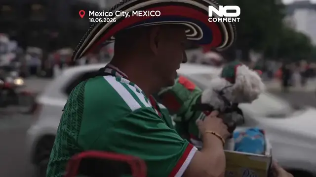 Video thumbnail for Meet Osito, the rescue dog winning hearts at the World Cup