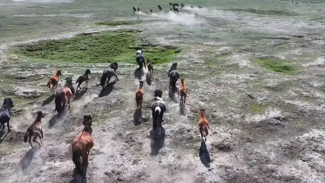 Video thumbnail for China: Horses Run in the Gaojiahu Wetland Park in Barkol.