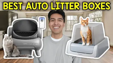 'Video thumbnail for I Found The Best Automatic Cat Litterboxes For 2025'